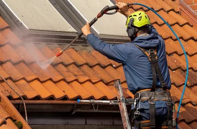 Démoussage et hydrofuge de toiture à Vernay
